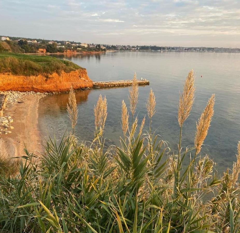 Mobile Homes Kamp Maslina, Біоград-на-Мору Екстер'єр фото