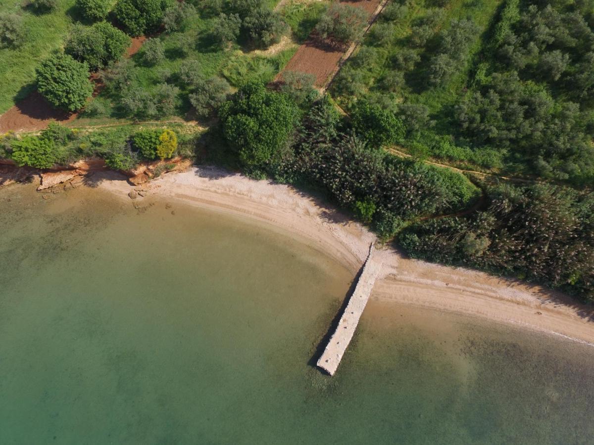 Mobile Homes Kamp Maslina, Біоград-на-Мору Екстер'єр фото